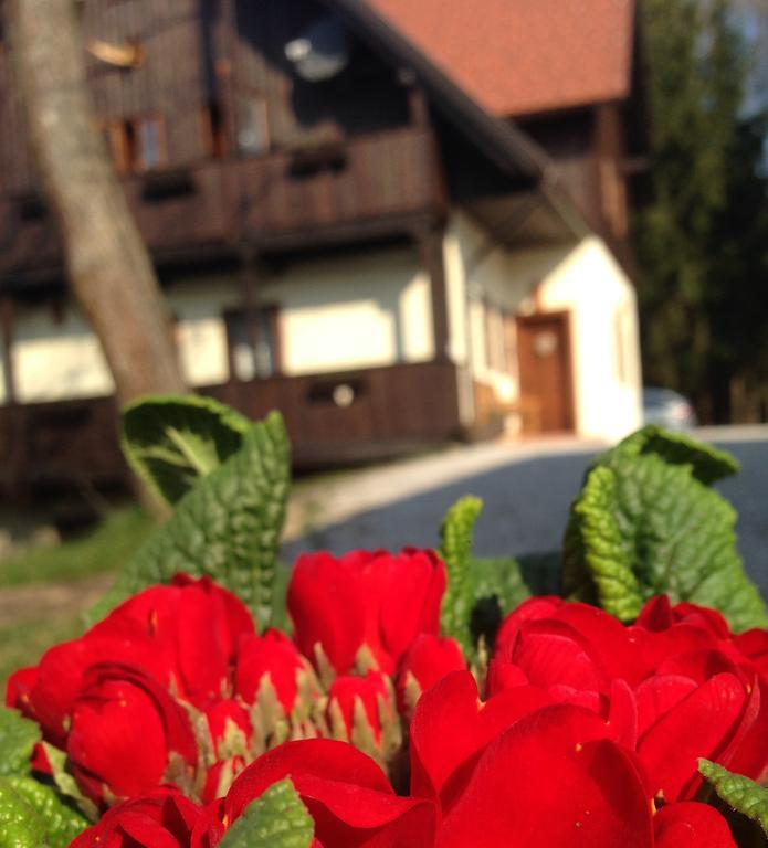 Pomona Relaxing Nature Guest House Rogaška Slatina Exterior foto