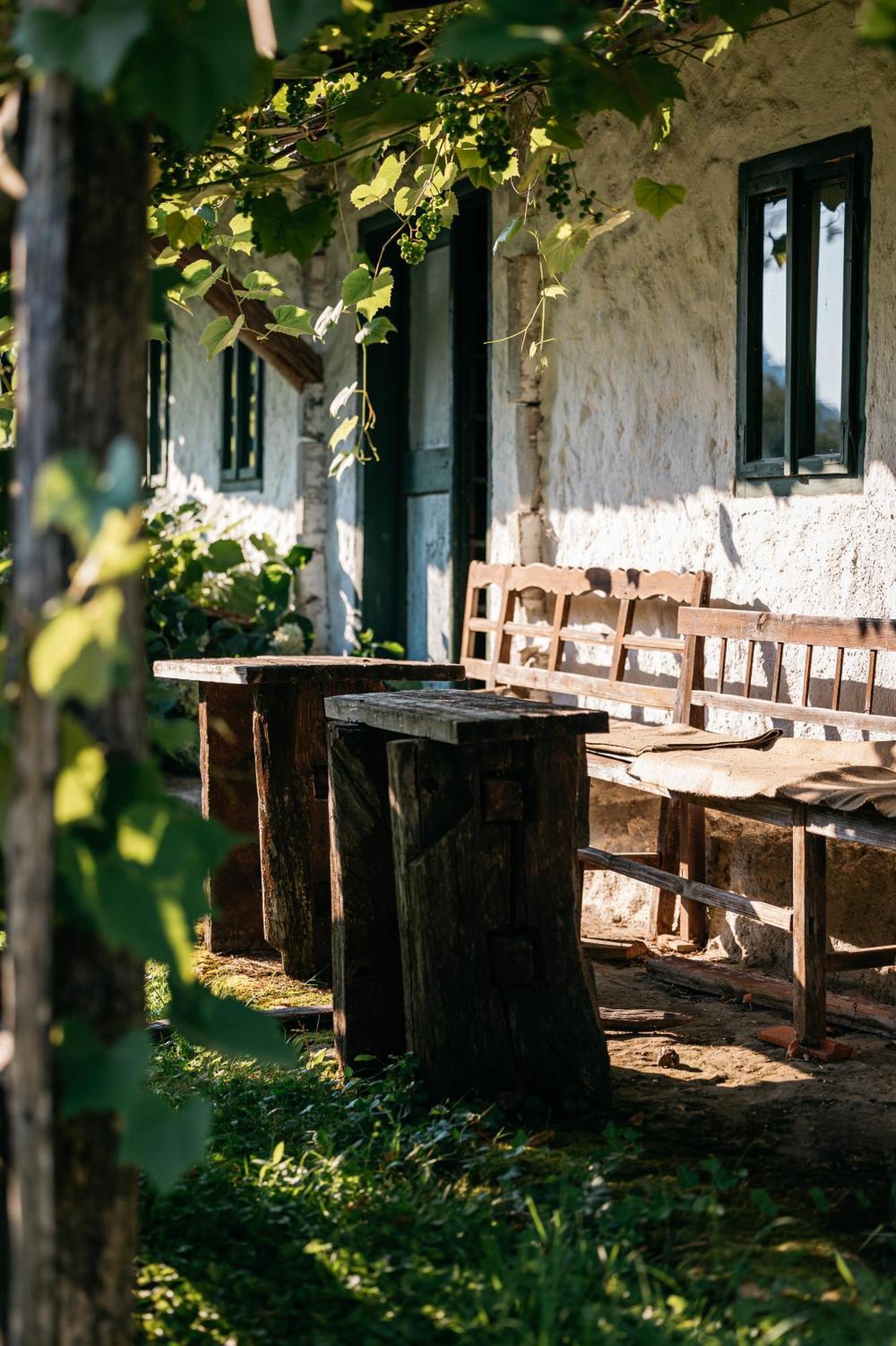 Pomona Relaxing Nature Guest House Rogaška Slatina Exterior foto