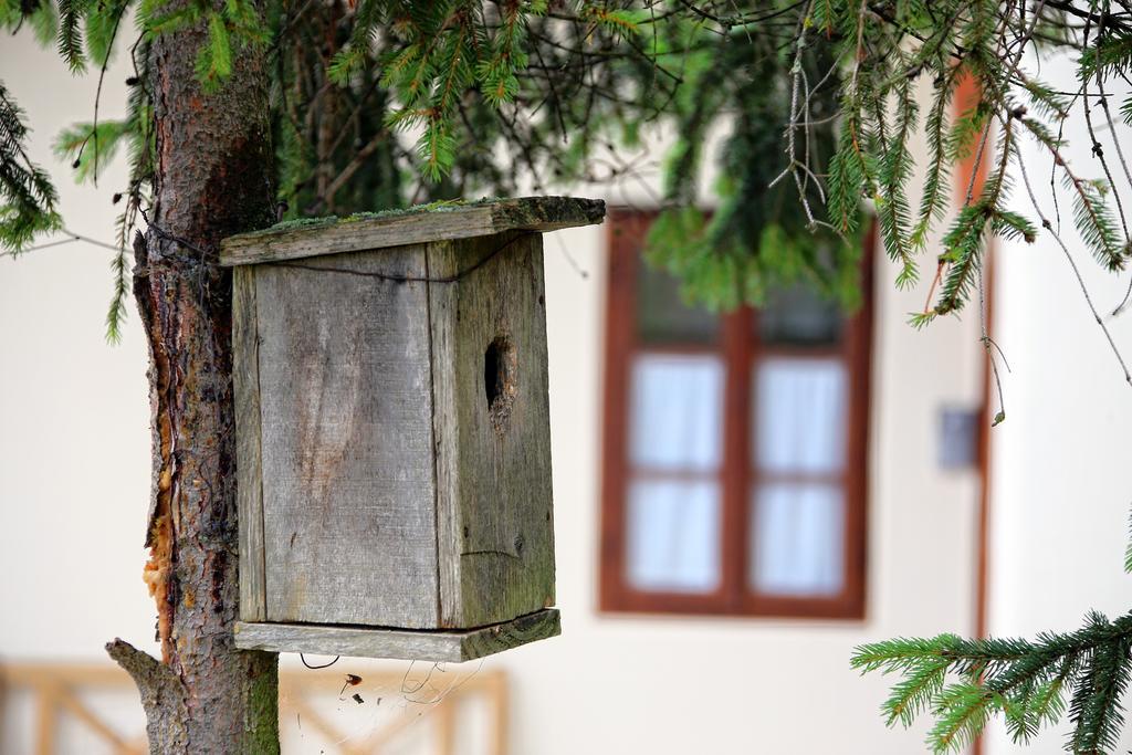 Pomona Relaxing Nature Guest House Rogaška Slatina Exterior foto